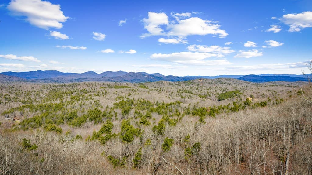 Lot 20 Raven Ridge Circle, Mineral Bluff GA 30559 - Photo