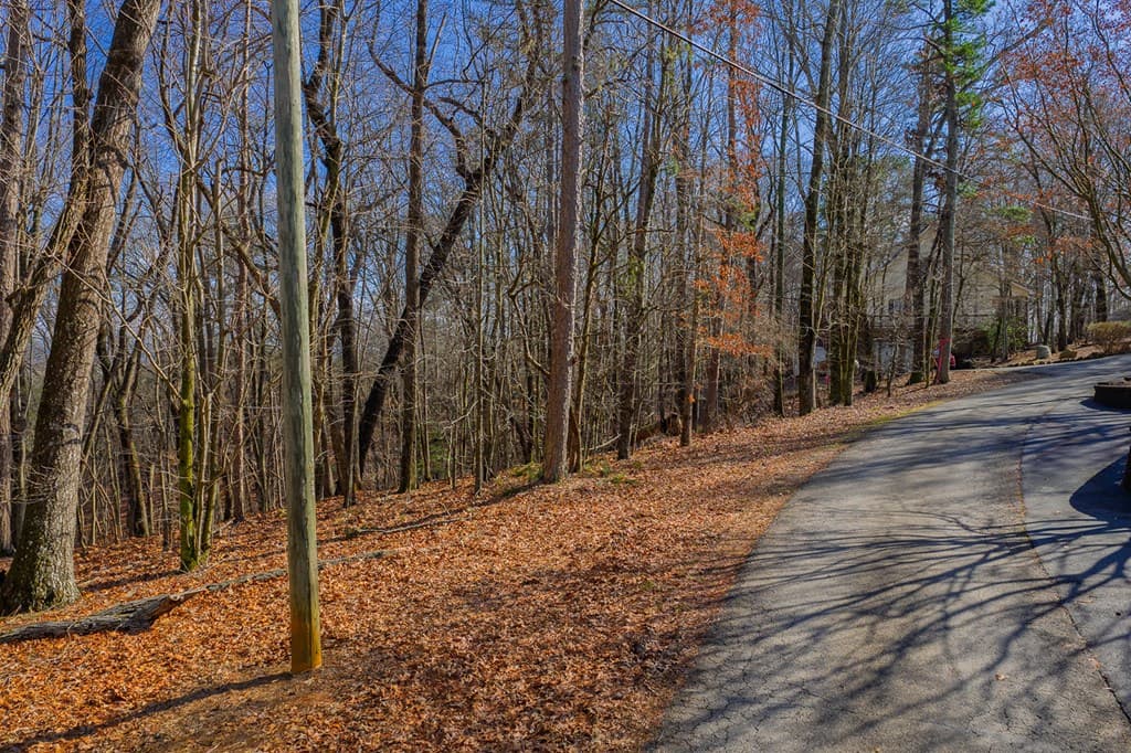 Lot 55 Timberwalk Drive, Ellijay GA 30540 - Photo
