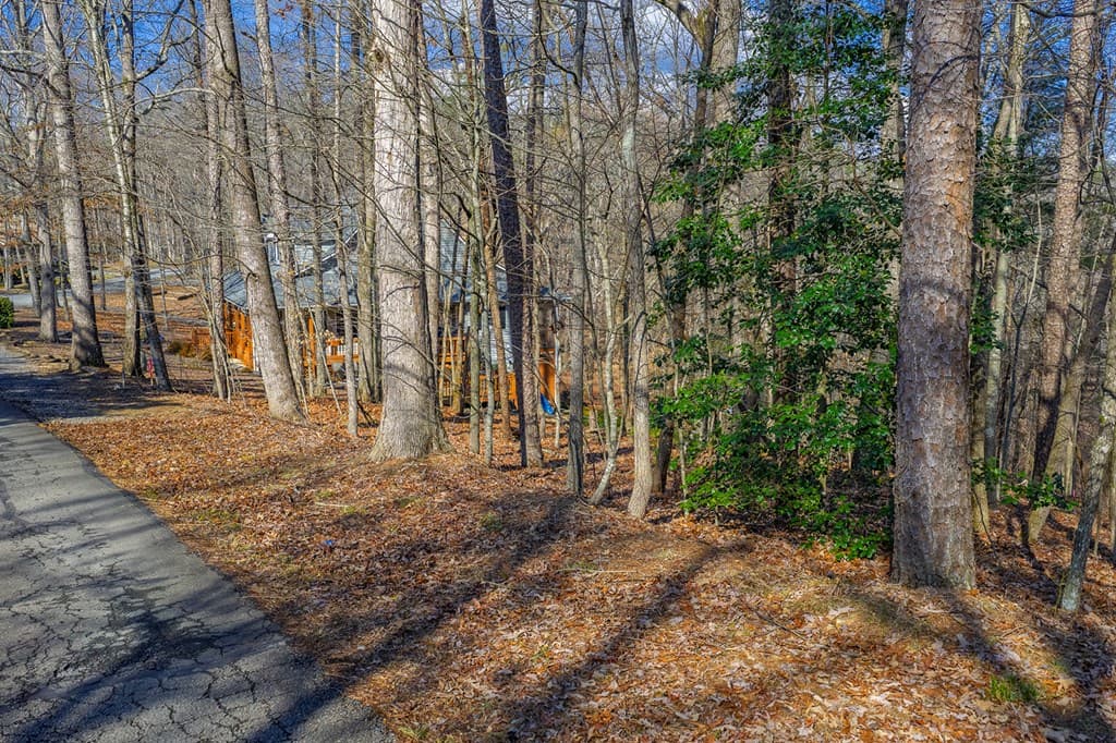 Lot 55 Timberwalk Drive, Ellijay GA 30540 - Photo