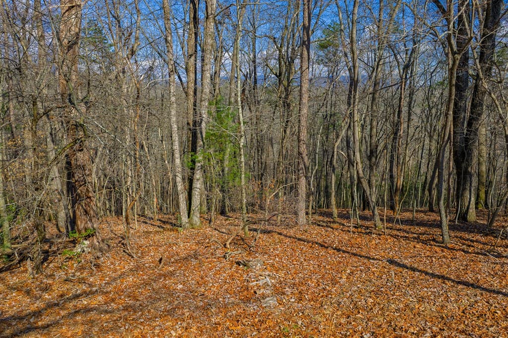 Lot 55 Timberwalk Drive, Ellijay GA 30540 - Photo