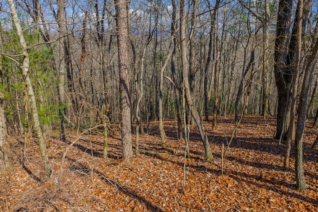 Lot 55 Timberwalk Drive, Ellijay GA 30540 - Photo