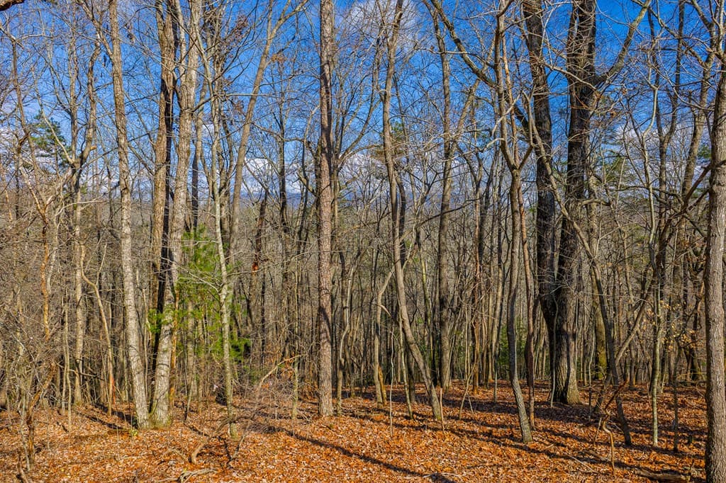 Lot 55 Timberwalk Drive, Ellijay GA 30540 - Photo