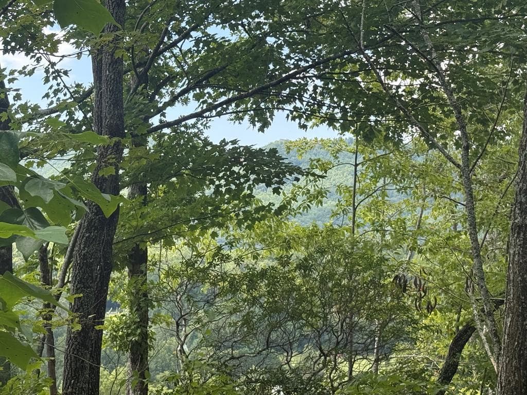 0000 Bethabara View, Hayesville NC 28904 - Photo
