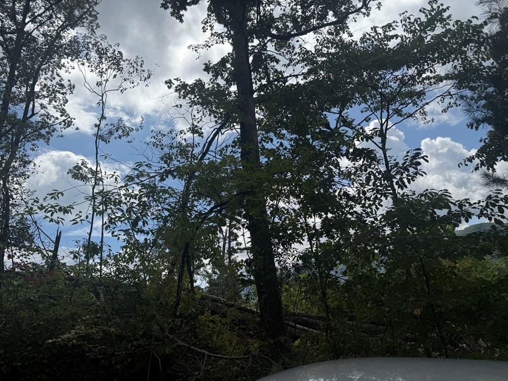 0000 Bethabara View, Hayesville NC 28904 - Photo