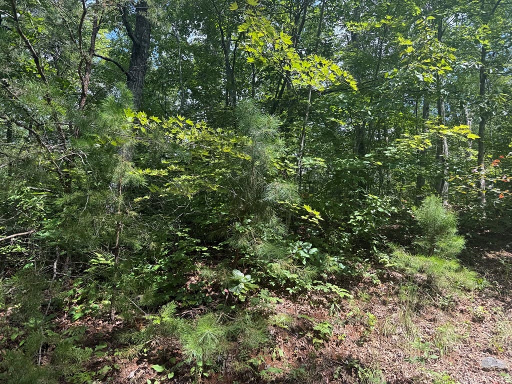 0000 Bethabara View, Hayesville NC 28904 - Photo