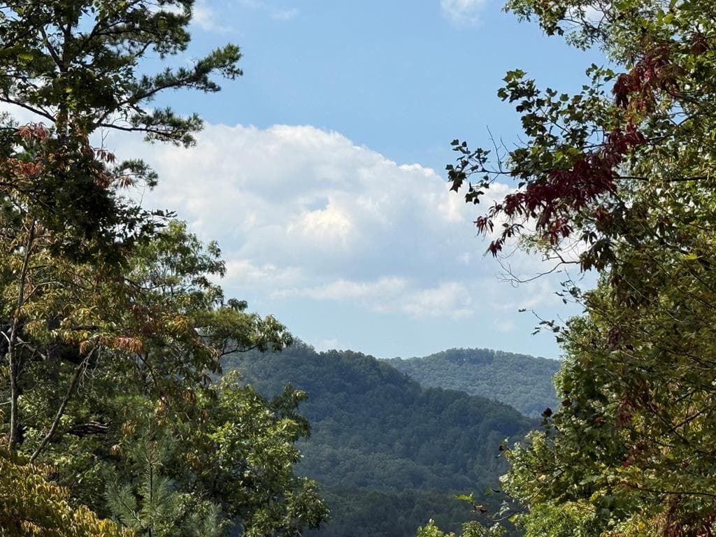 0000 Bethabara View, Hayesville NC 28904 - Photo