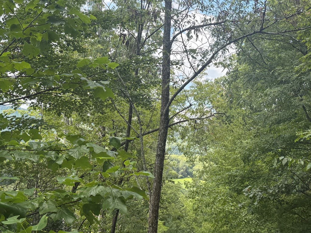 0000 Bethabara View, Hayesville NC 28904 - Photo