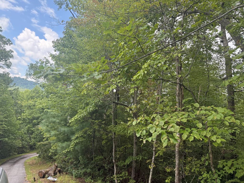 0000 Bethabara View, Hayesville NC 28904 - Photo