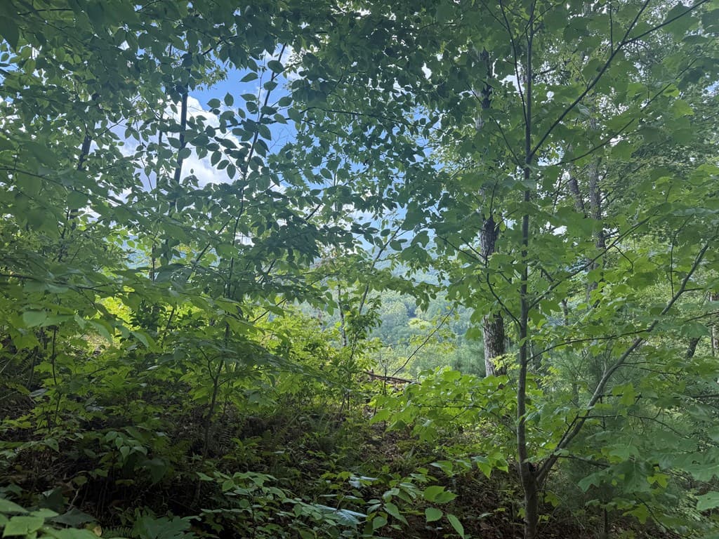 0000 Bethabara View, Hayesville NC 28904 - Photo