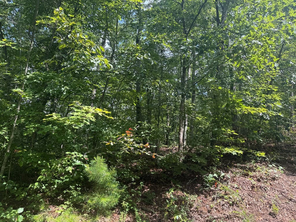 0000 Bethabara View, Hayesville NC 28904 - Photo