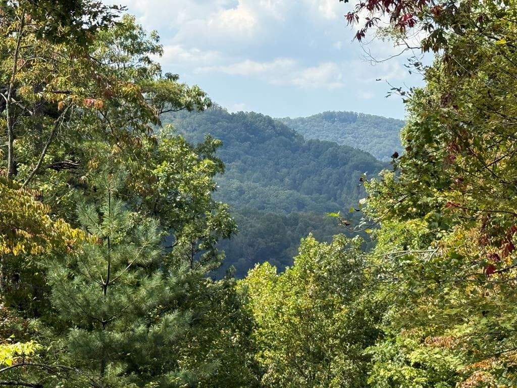 0000 Bethabara View, Hayesville NC 28904 - Photo