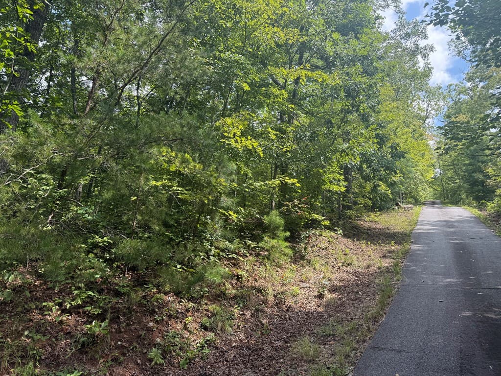 0000 Bethabara View, Hayesville NC 28904 - Photo