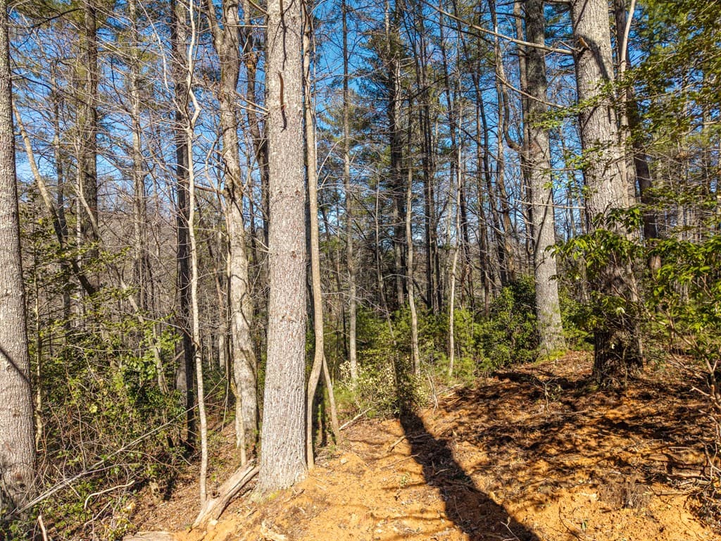 112 Big Pine Hill, Blairsville GA 30512 - Photo