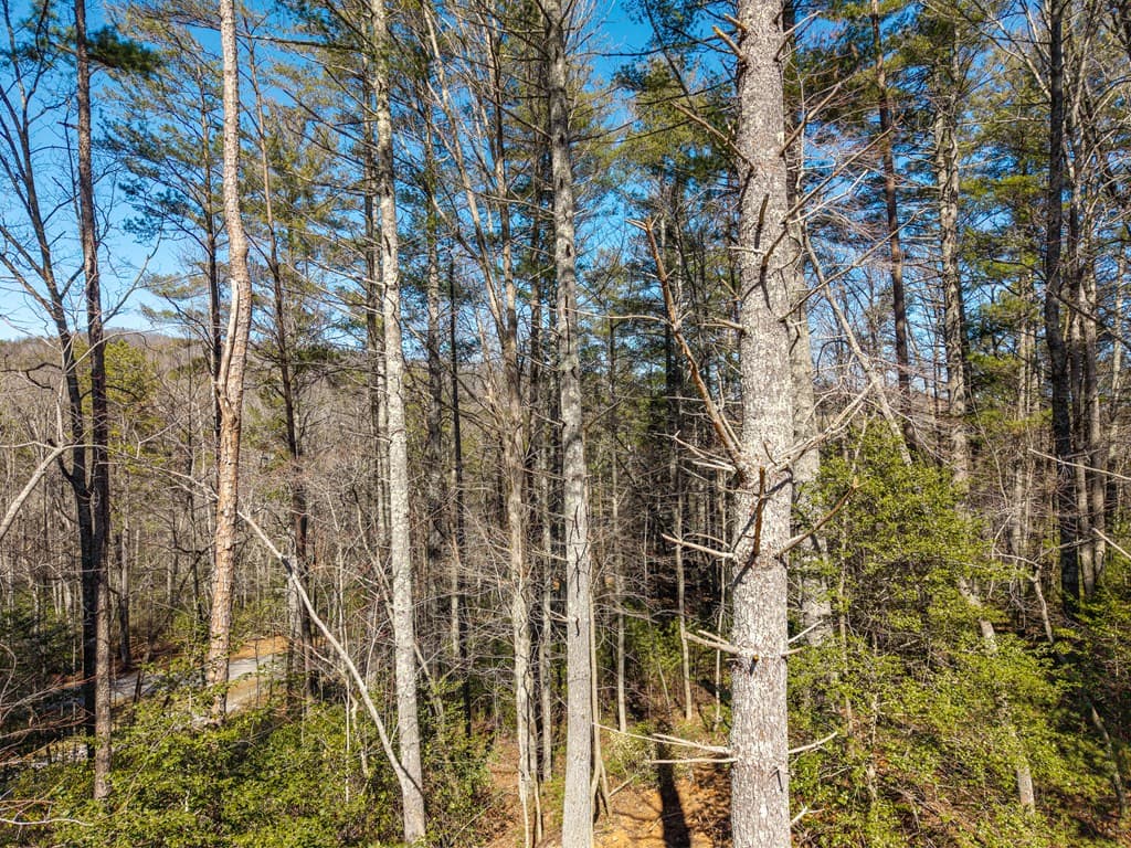 112 Big Pine Hill, Blairsville GA 30512 - Photo