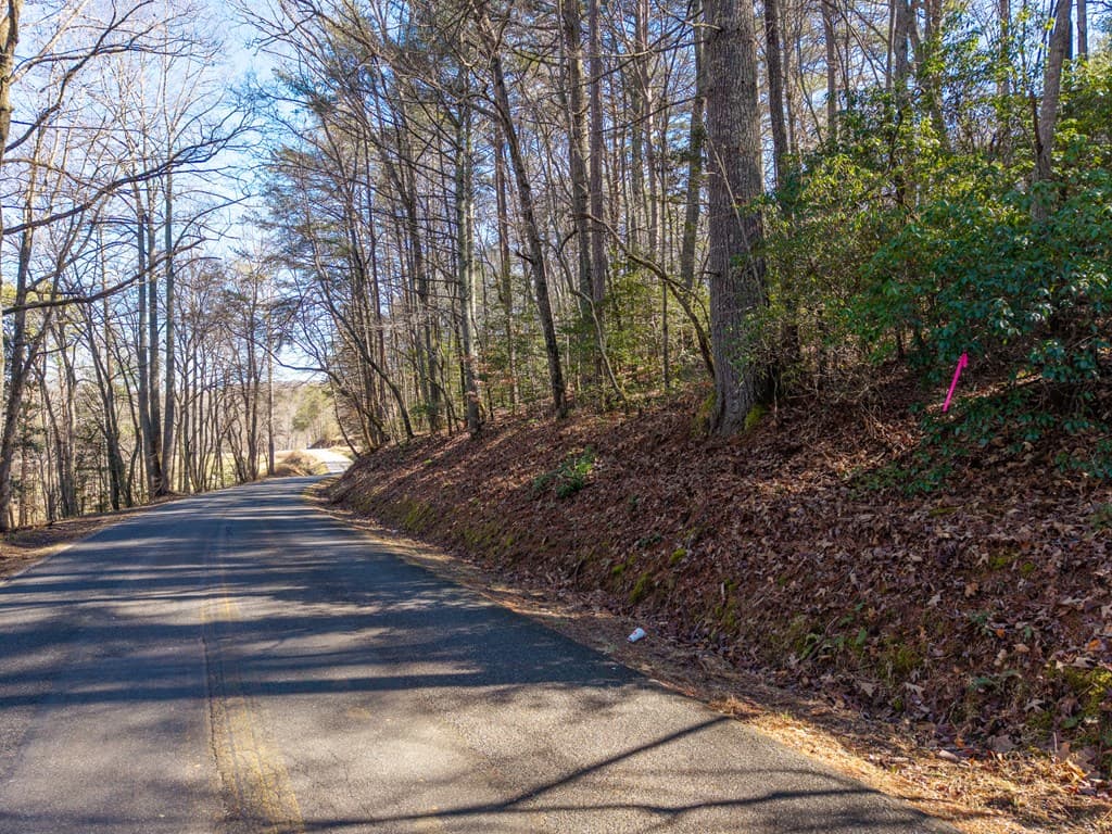 112 Big Pine Hill, Blairsville GA 30512 - Photo