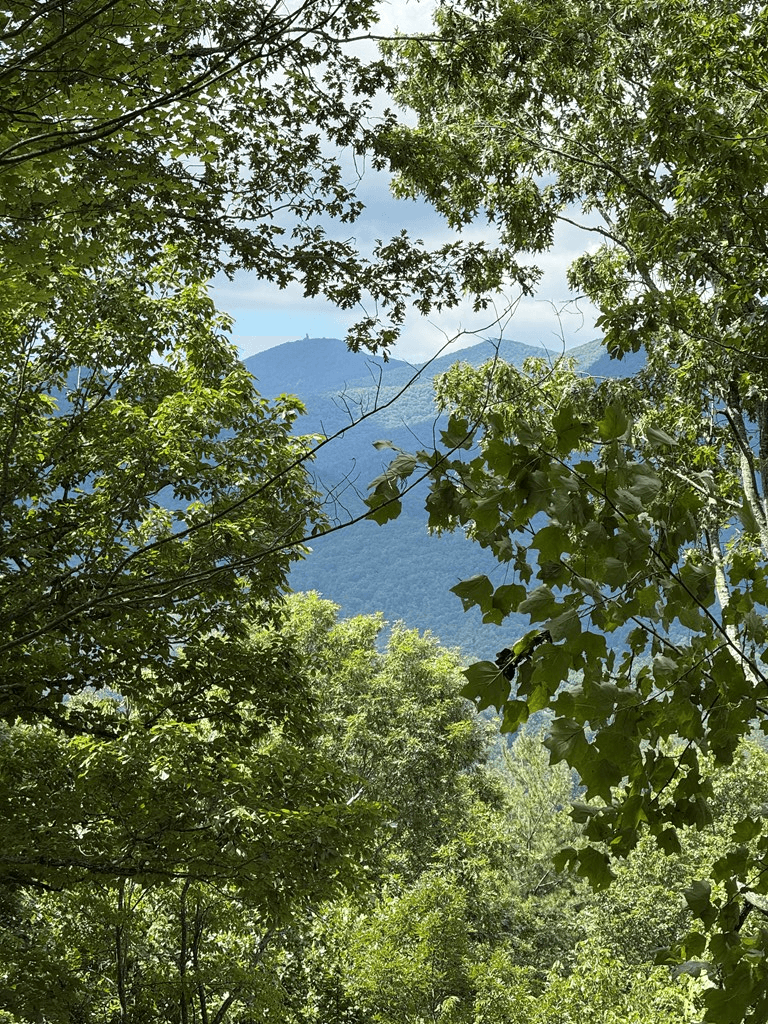 Lot 4 Whiskey Mountain Estates, Hiawassee GA 30546 - Photo