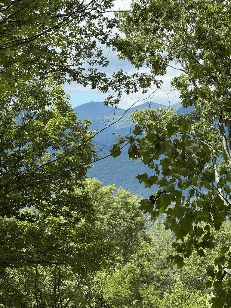Lot 6 Whiskey Mountain Estates, Hiawassee GA 30546 - Photo