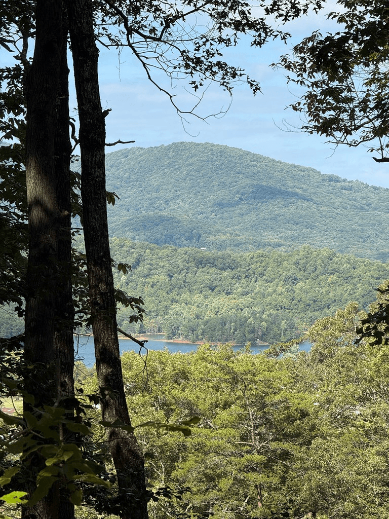 Lot 7 Whiskey Mountain Estates, Hiawassee GA 30546 - Photo