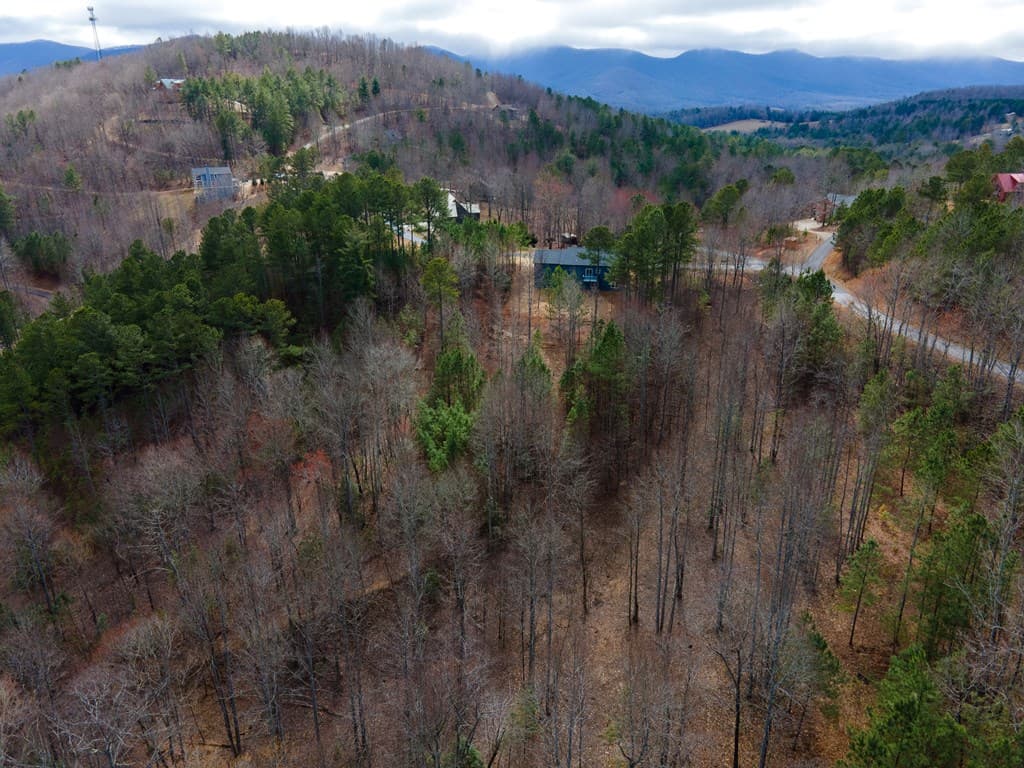 19/20 Summer Cove Road, Blairsville GA 30512 - Photo