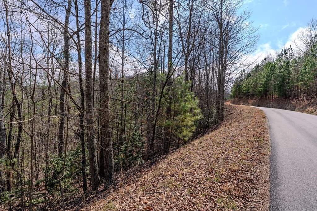 19/20 Summer Cove Road, Blairsville GA 30512 - Photo