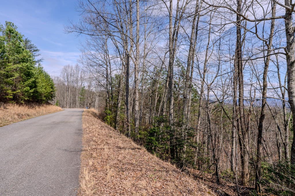 19/20 Summer Cove Road, Blairsville GA 30512 - Photo