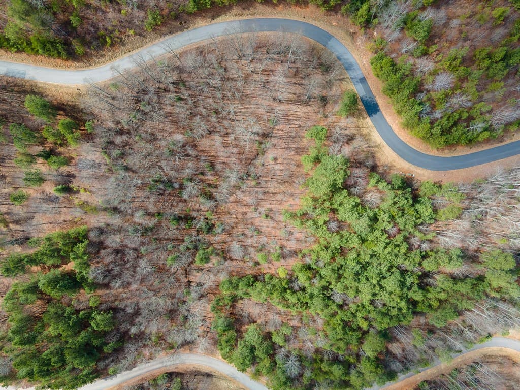 19/20 Summer Cove Road, Blairsville GA 30512 - Photo