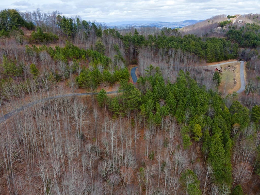 19/20 Summer Cove Road, Blairsville GA 30512 - Photo