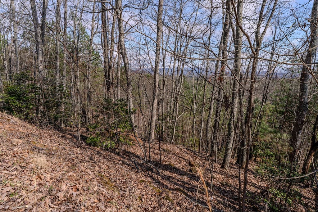 19/20 Summer Cove Road, Blairsville GA 30512 - Photo