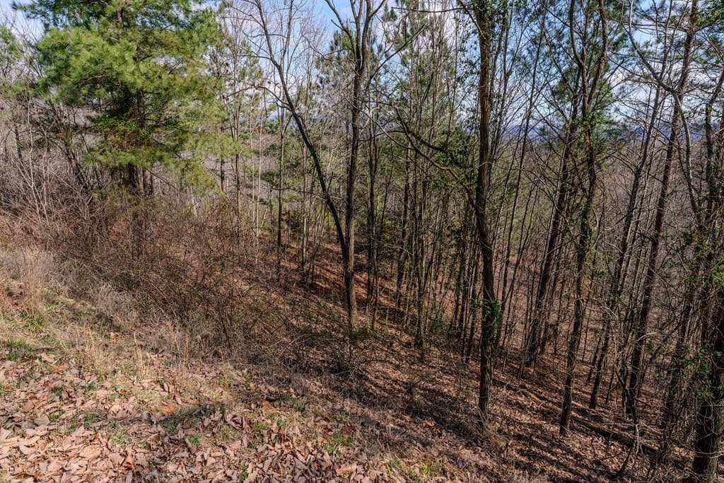 19/20 Summer Cove Road, Blairsville GA 30512 - Photo
