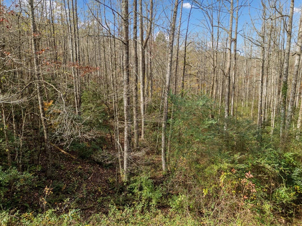 Lot 7 Highpoint Ridge Road, Ellijay GA 30536 - Photo