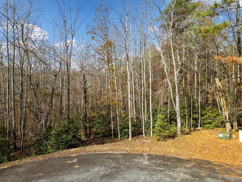 Lot 7 Highpoint Ridge Road, Ellijay GA 30536 - Photo