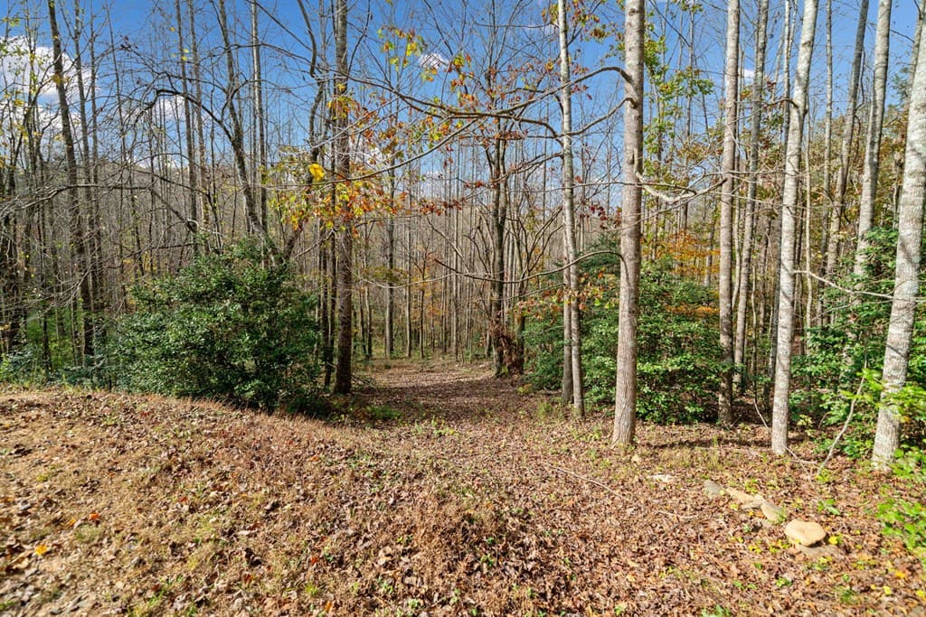 Lot 7 Highpoint Ridge Road, Ellijay GA 30536 - Photo