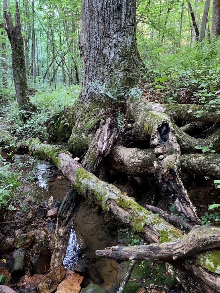 Lot 7 Highpoint Ridge Road, Ellijay GA 30536 - Photo