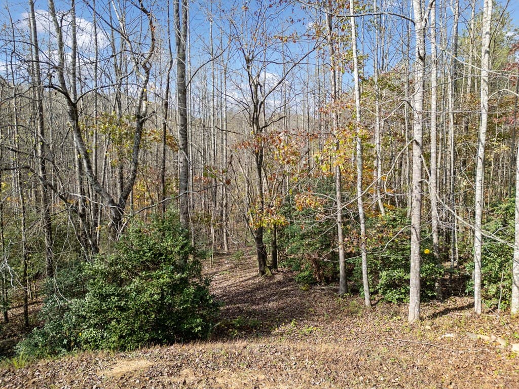 Lot 7 Highpoint Ridge Road, Ellijay GA 30536 - Photo