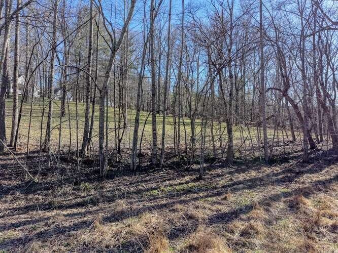 Lot 6, 7 Duncan Mill, Blairsville GA 30512 - Photo