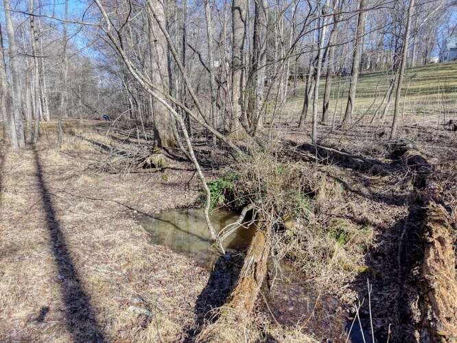 Lot 6, 7 Duncan Mill, Blairsville GA 30512 - Photo
