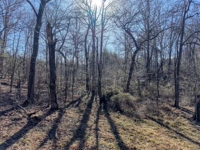 Lot 6, 7 Duncan Mill, Blairsville GA 30512 - Photo