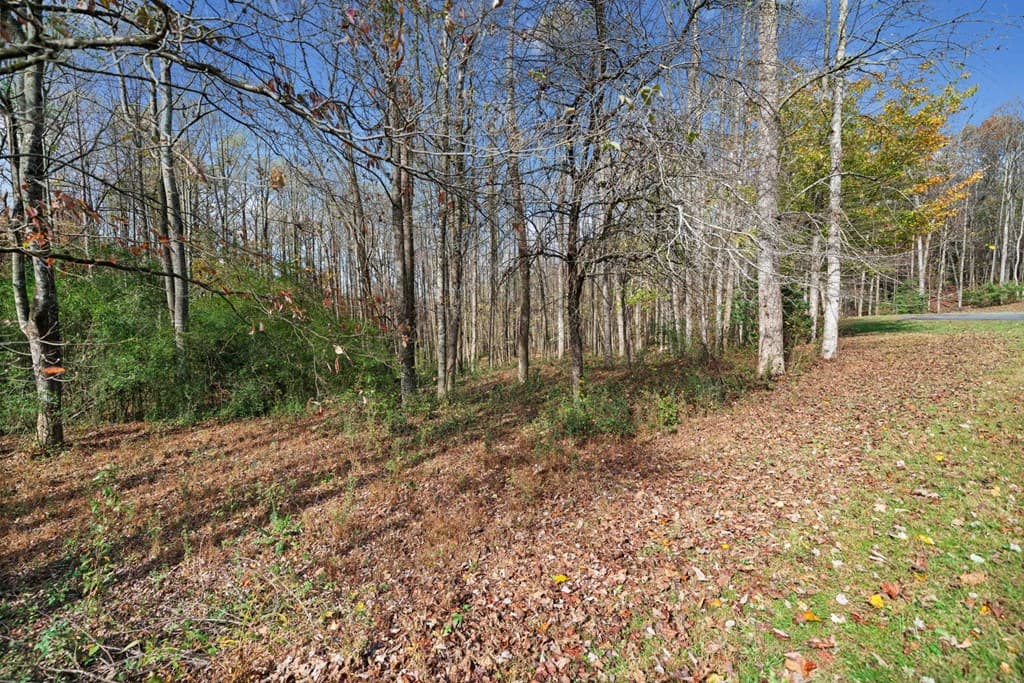Lot 14 Highpoint Ridge Court, Ellijay GA 30536 - Photo