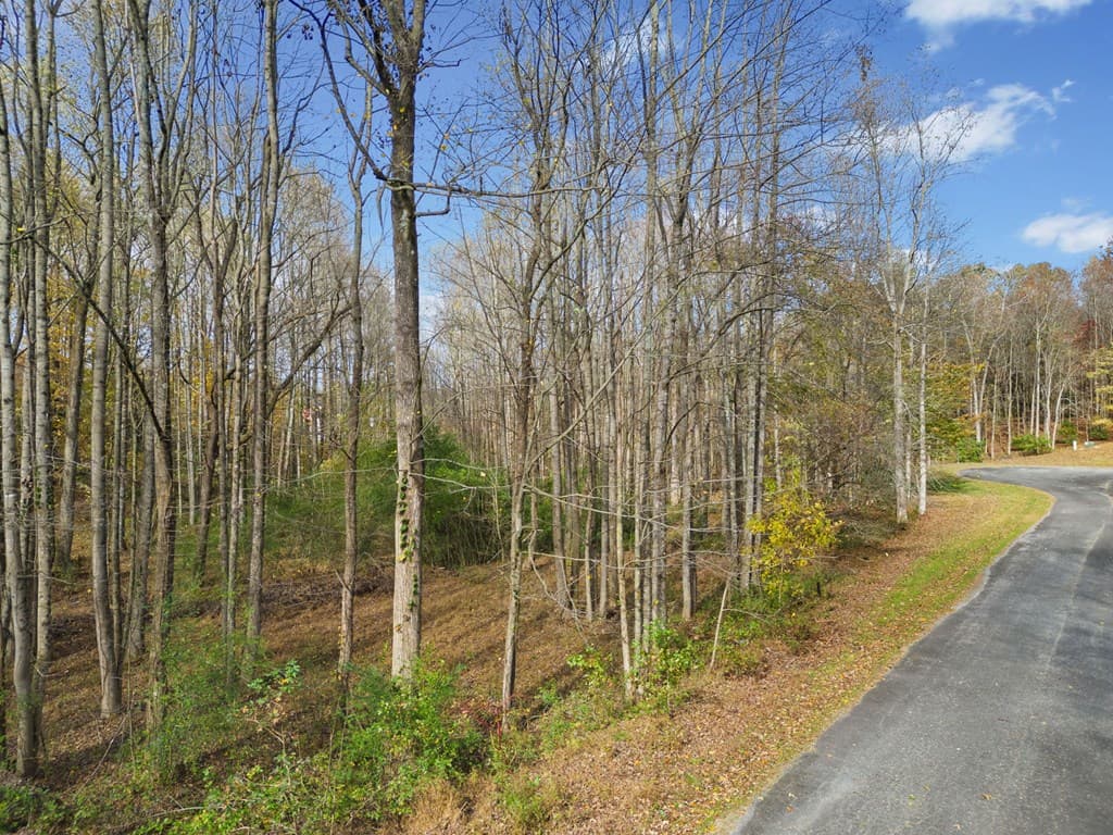 Lot 14 Highpoint Ridge Court, Ellijay GA 30536 - Photo