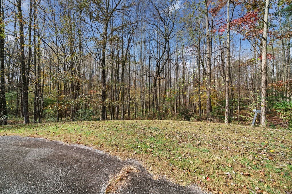 Lot 14 Highpoint Ridge Court, Ellijay GA 30536 - Photo