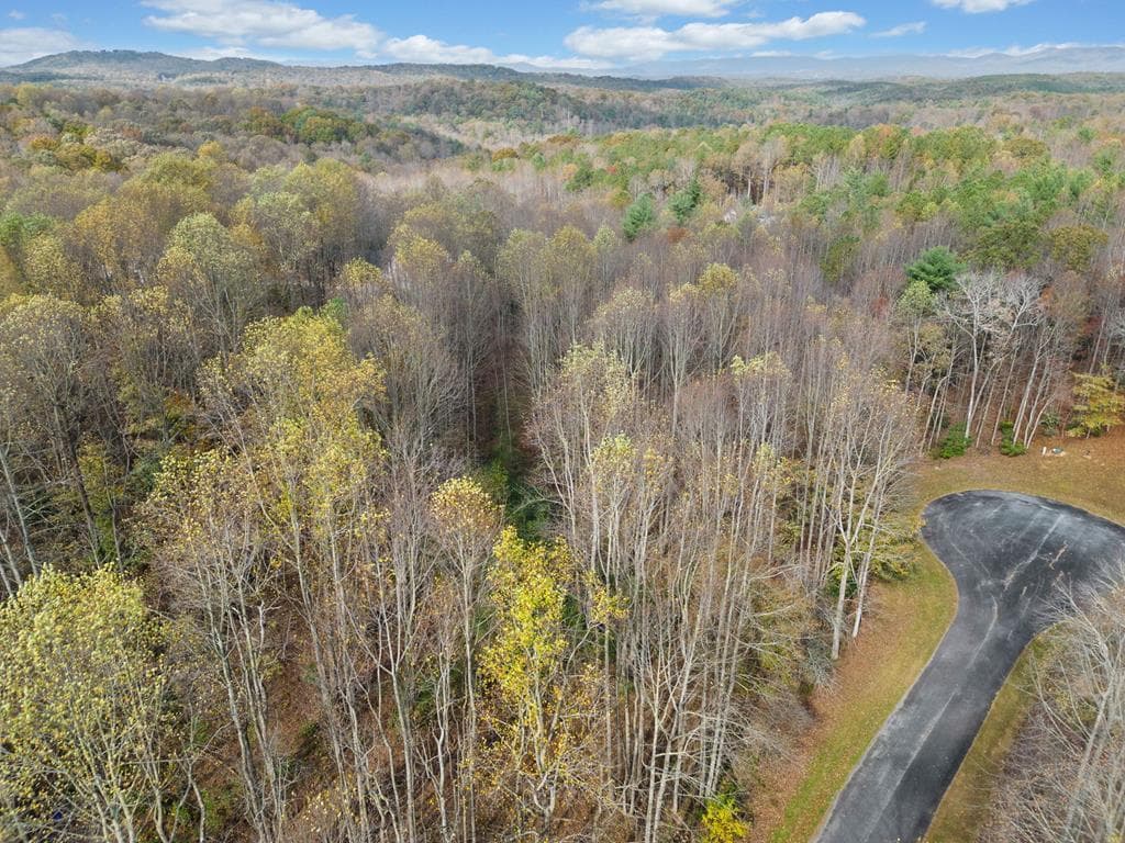 Lot 14 Highpoint Ridge Court, Ellijay GA 30536 - Photo