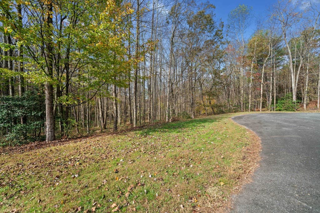 Lot 14 Highpoint Ridge Court, Ellijay GA 30536 - Photo