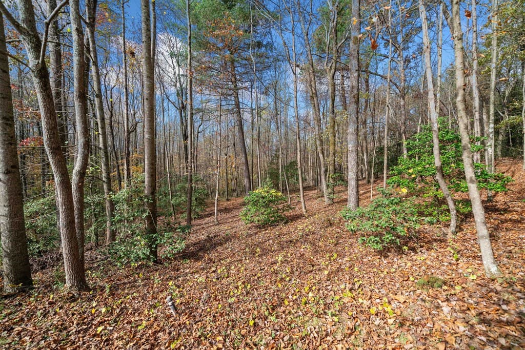 Lot 15 Highpoint Ridge Court, Ellijay GA 30536 - Photo