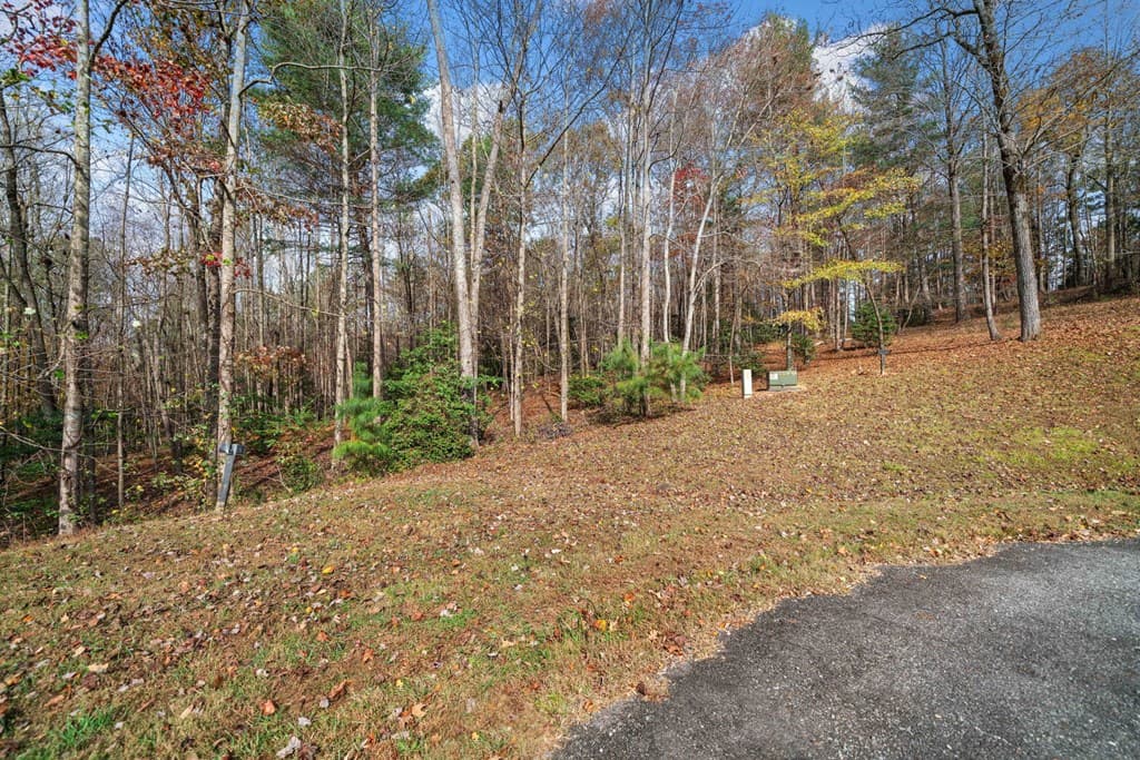 Lot 15 Highpoint Ridge Court, Ellijay GA 30536 - Photo