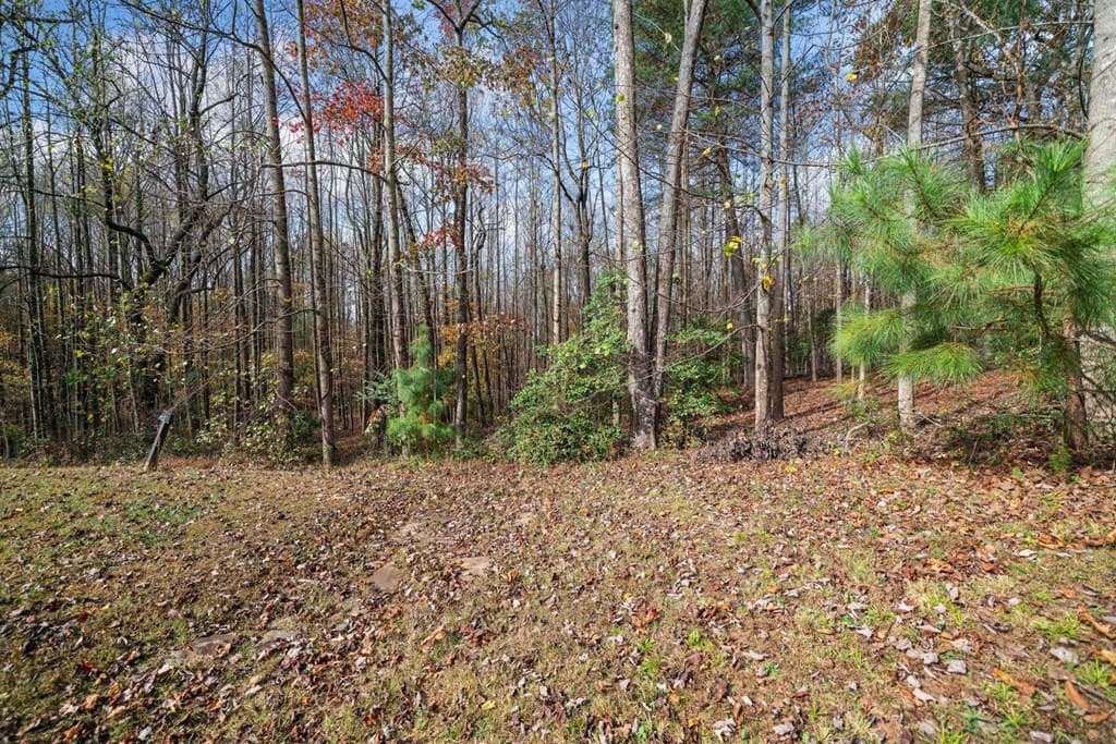 Lot 15 Highpoint Ridge Court, Ellijay GA 30536 - Photo
