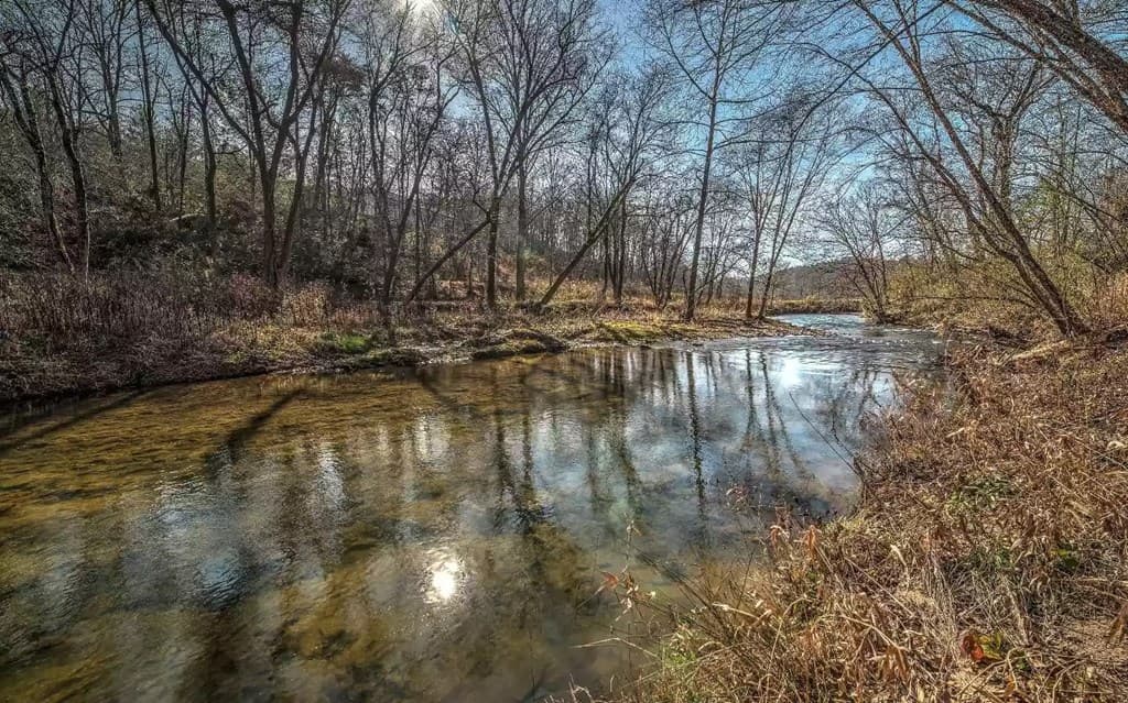 141 Mountain Rivers Road, Mineral Bluff GA 30559 - Photo