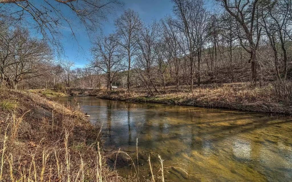 141 Mountain Rivers Road, Mineral Bluff GA 30559 - Photo