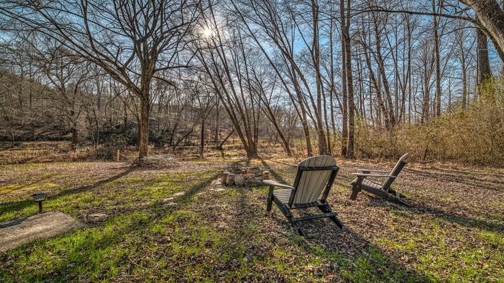 141 Mountain Rivers Road, Mineral Bluff GA 30559 - Photo