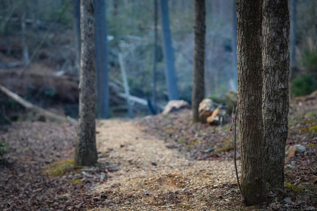 164 Water Dance Trail, Blue Ridge GA 30513 - Photo