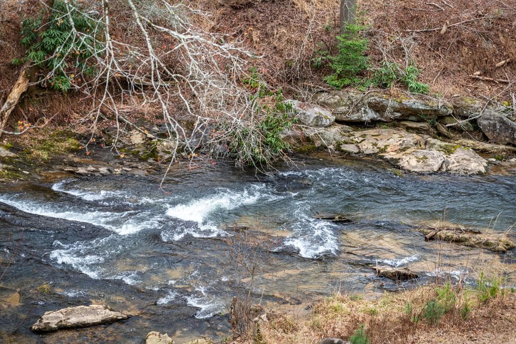 164 Water Dance Trail, Blue Ridge GA 30513 - Photo